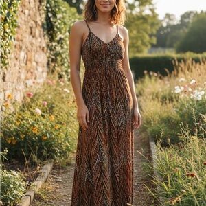 Body Central Multicolor Chevron Maxi Dress